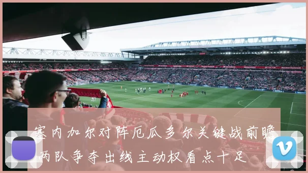 塞内加尔对阵厄瓜多尔关键战前瞻 两队争夺出线主动权看点十足