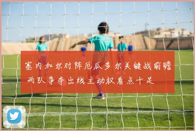 塞内加尔对阵厄瓜多尔关键战前瞻 两队争夺出线主动权看点十足